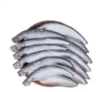 Pabda Fish 500gm