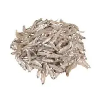 Kaski Fish 500gm