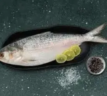 Hilsa Fish 1Kg